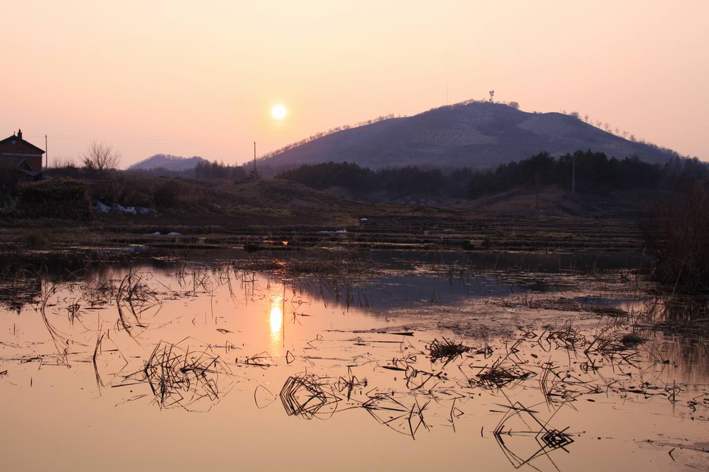 池塘边的落日 摄影 星湖