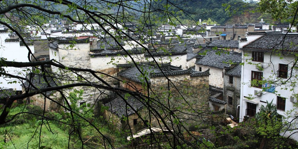 雨中婺源 摄影 青山居士