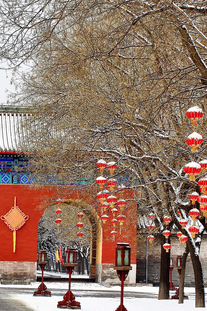 天坛公园西门雪景 摄影 楚天舒