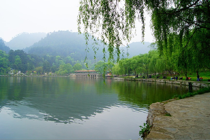 柳浪闻莺 摄影 雨竹清风