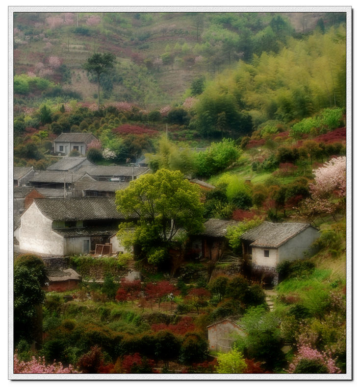 山里人家 摄影 猴行万里