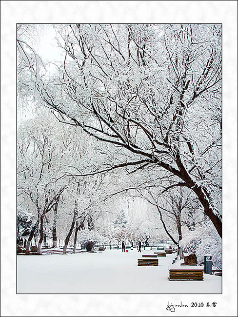 春雪落无声（一） 摄影 指间.蓝