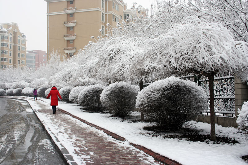 春雪 摄影 raintung