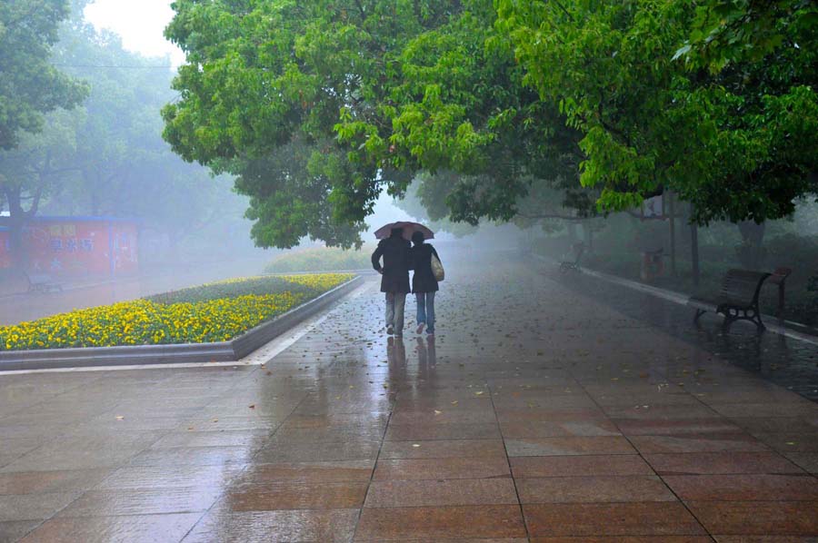 雨中情 摄影 毛桂荣