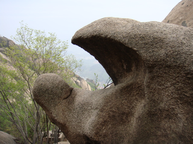 天狗吃月 摄影 黄海山