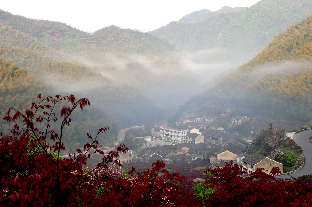 四明山 摄影 空中花园.