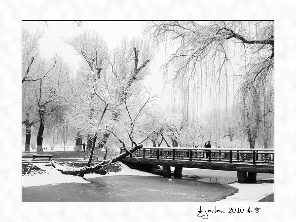 春雪落无声（五） 摄影 指间.蓝