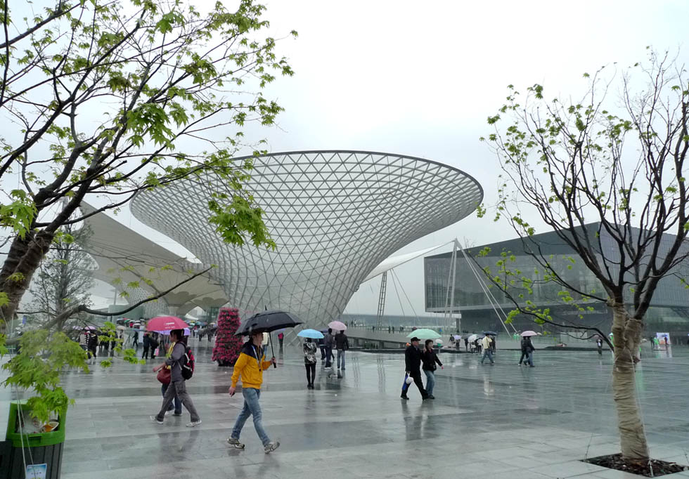 春雨润世博 摄影 林雨