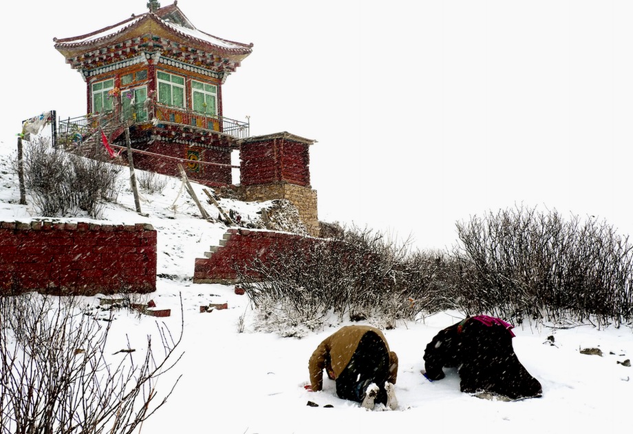 雪中的虔诚 摄影 西部游魂