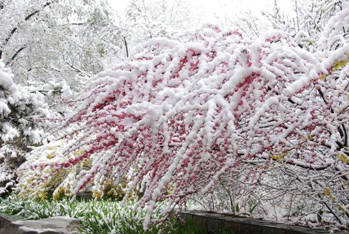 春雪（青海西宁） 摄影 高原的云