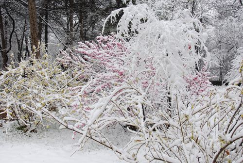 春雪2（青海西宁） 摄影 高原的云