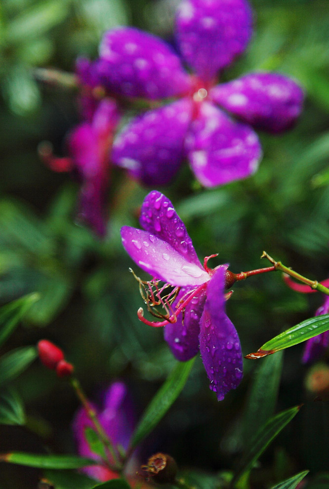 雨后 摄影 深圳蓝天