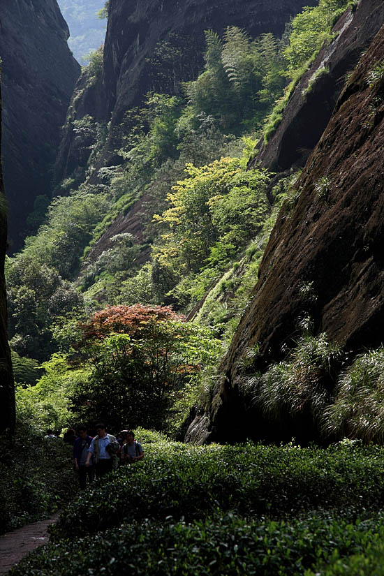 风光小景 摄影 老过