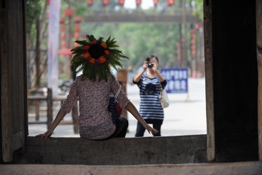 花季 摄影 加狮拉