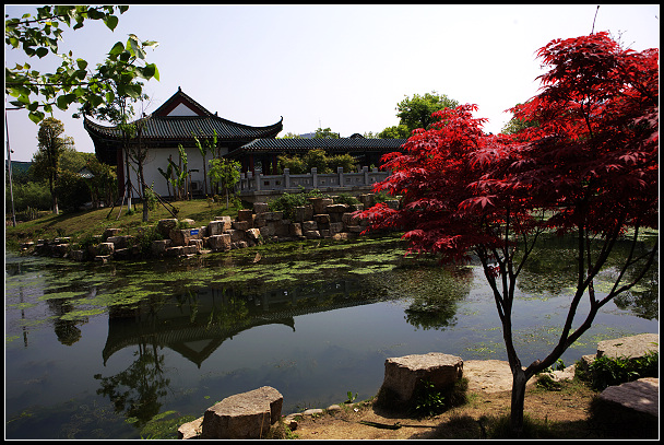 古琴台新景 摄影 兴高采猎