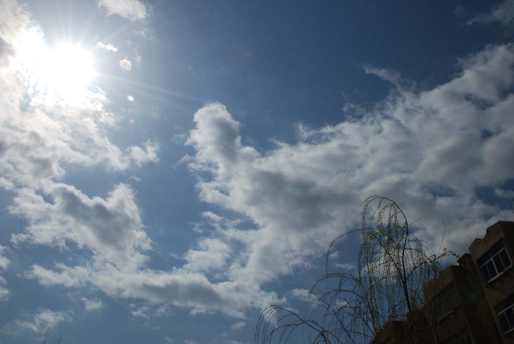 家里瞎拍天空1 摄影 王馨阳