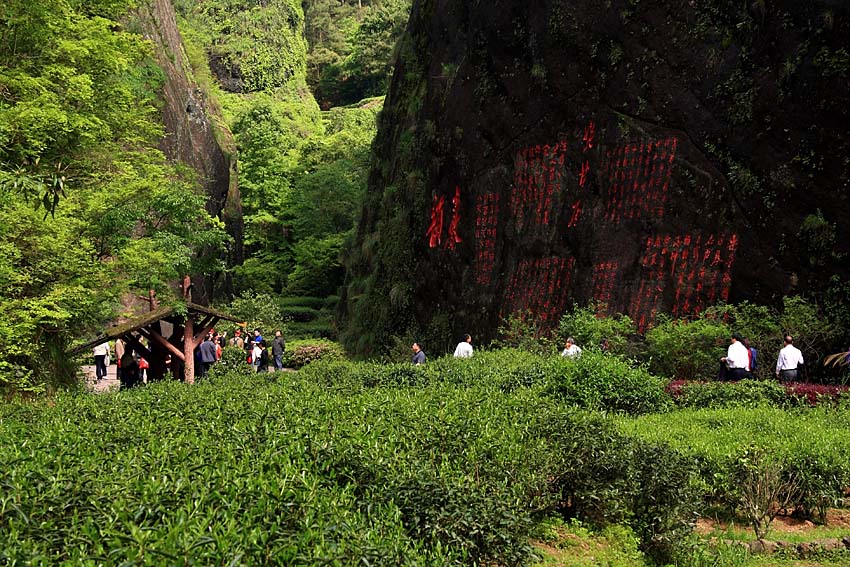 风光小景 摄影 老过