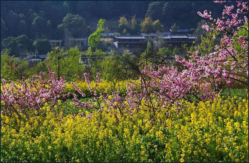 村景 摄影 少不努力