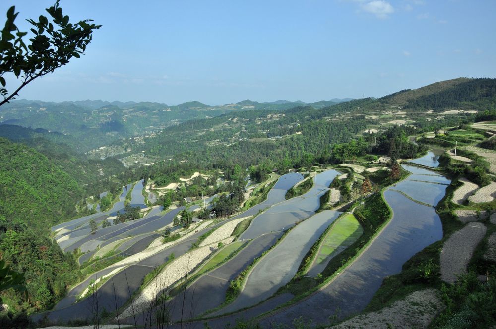 梯田 摄影 依念