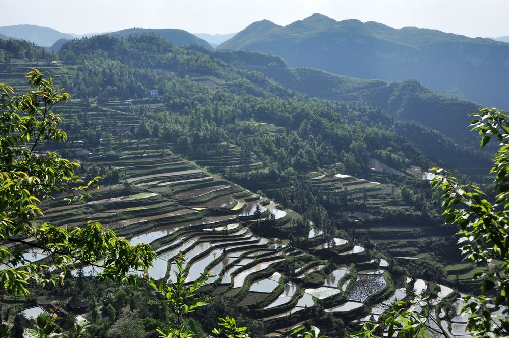 梯田 摄影 依念