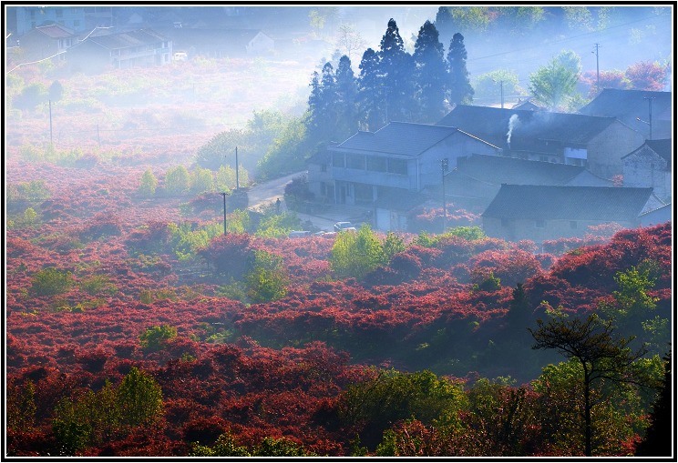 山村晨曦 摄影 老黄牛.