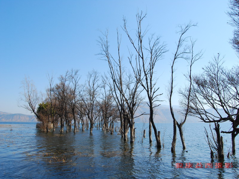 《洱海湖畔》 摄影 狼康益西