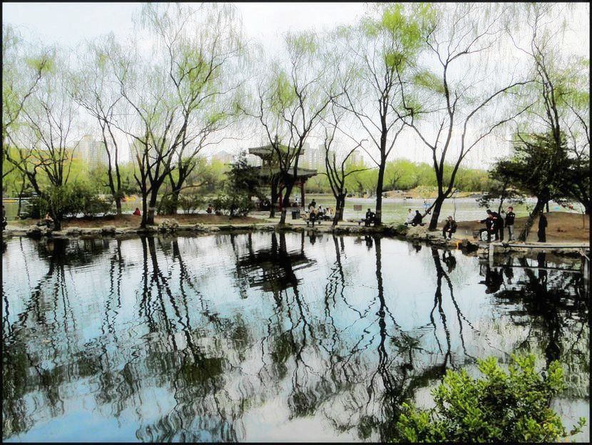 紫竹小景 摄影 静候的精灵