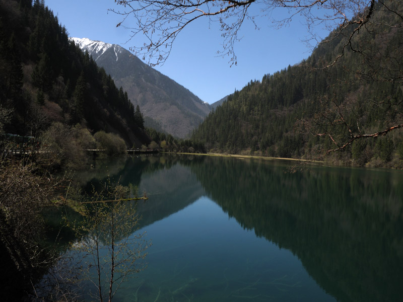 九寨沟-箭竹海 摄影 渔夫码头