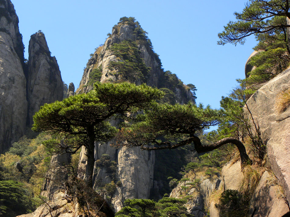 三清山风光---双松恋 摄影 湖生洋