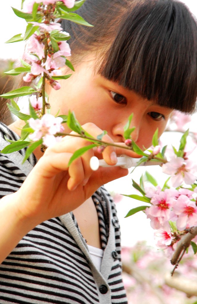 桃花姑娘 摄影 城市猫眼