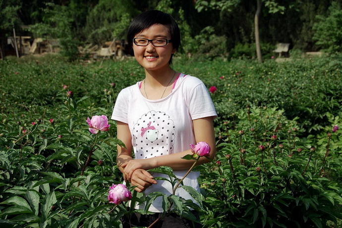 芍药初绽 摄影 译书人