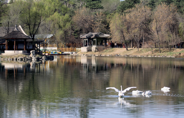 山庄水暖 摄影 柳絮7