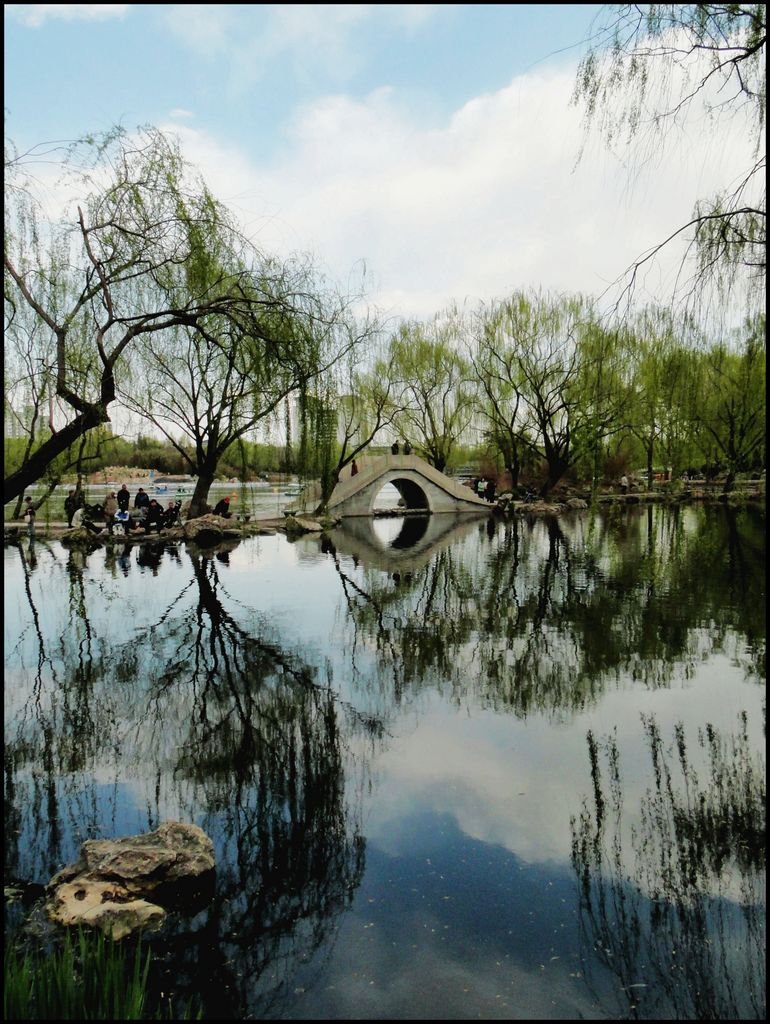 紫竹小景 摄影 静候的精灵