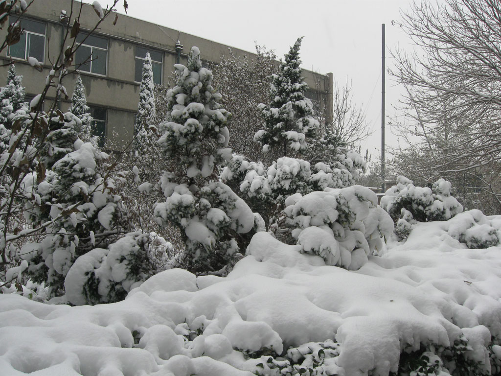 大雪 摄影 唯一的心