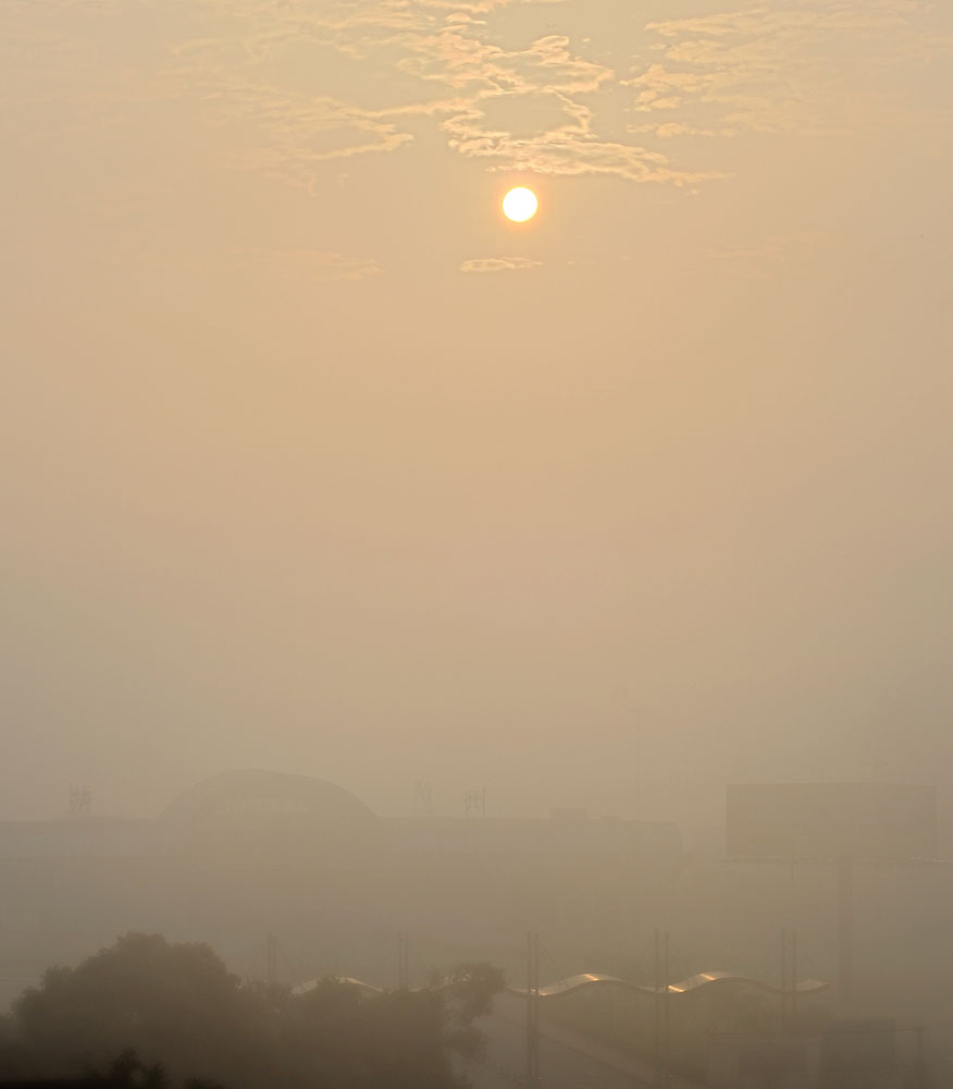 夏雾晨上 摄影 luzhouzjy