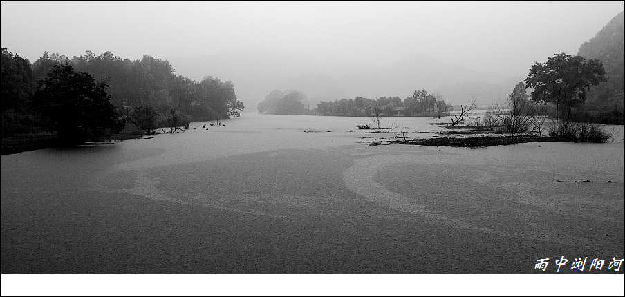 暴雨中的浏阳河 摄影 江南梅雨