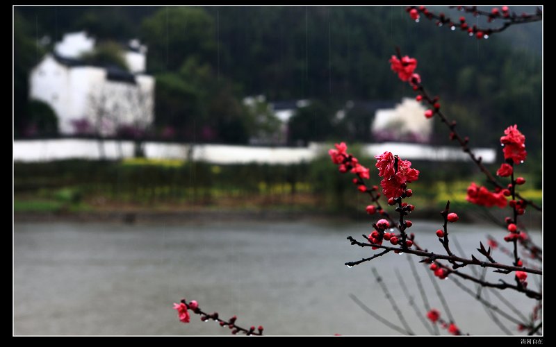 雨声 摄影 清闲自在