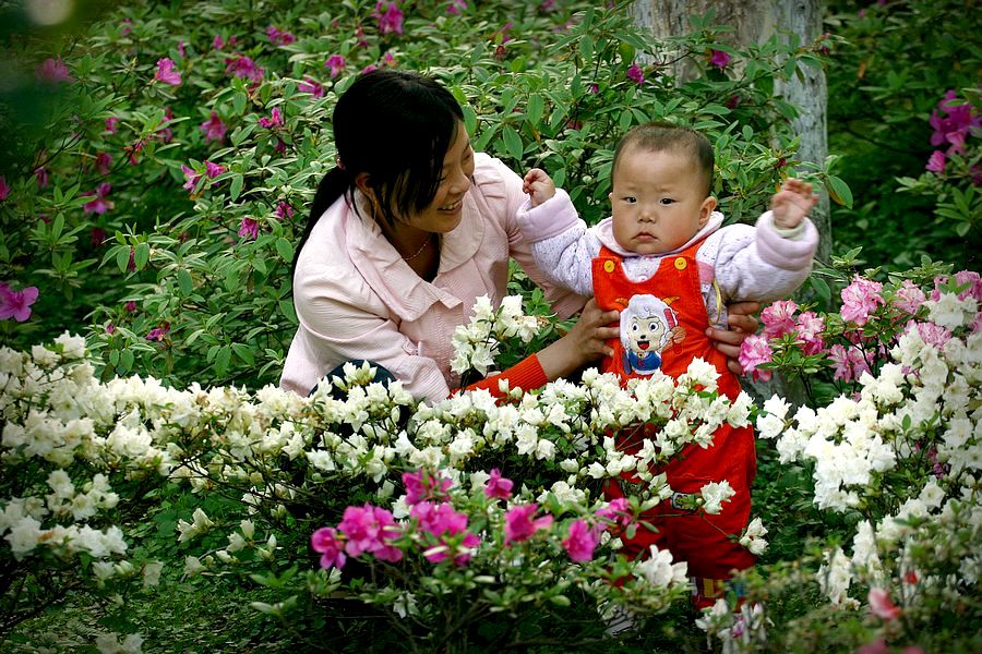 母亲节快乐！ 摄影 楚园秋韵