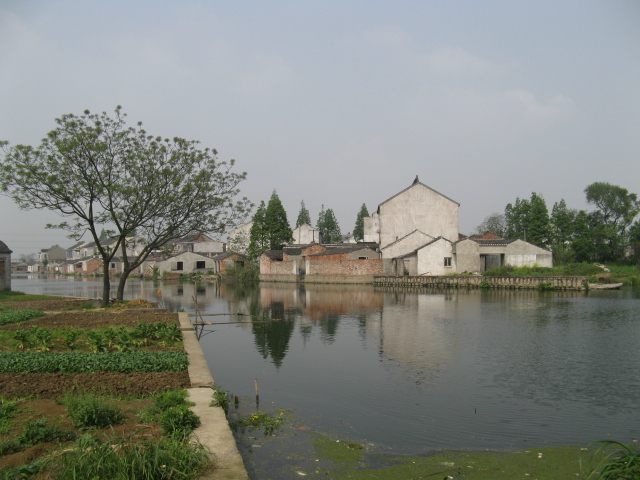 乡村春景 摄影 傻大庆