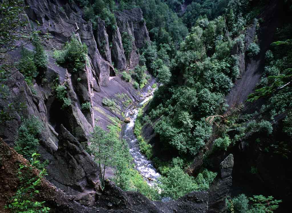 长白大峡谷 摄影 沽上野柳