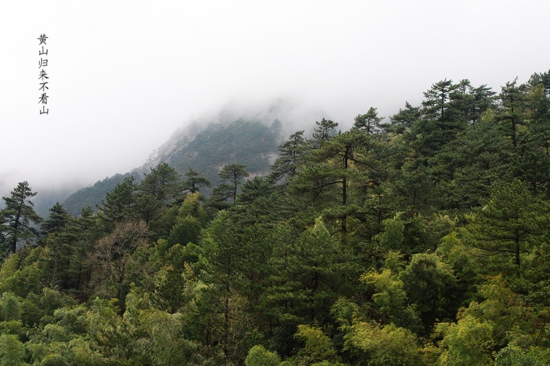 黄山 摄影 静葵