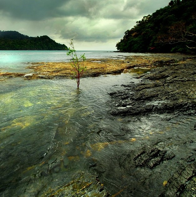 Langkawi Island ( 10 ) 摄影 ckwong