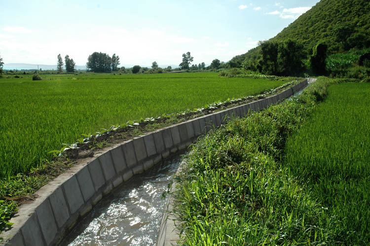 田园 摄影 吴永仁