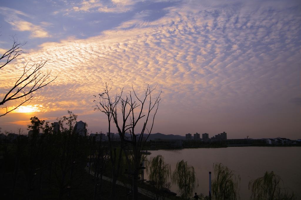 云彩 摄影 雨夜孤雁