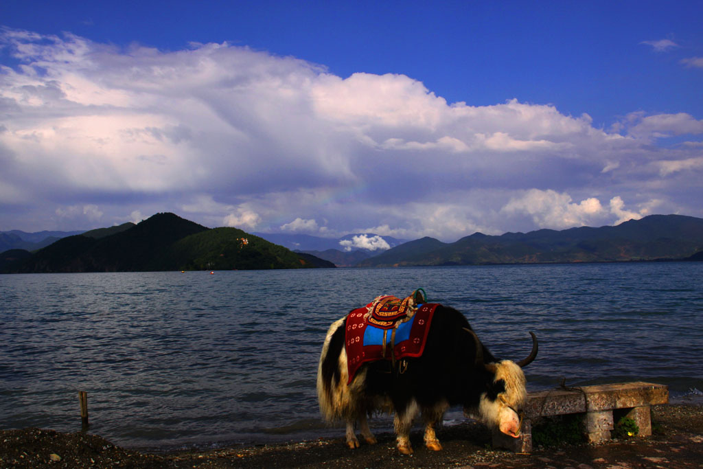 泸沽湖 摄影 慕容林海