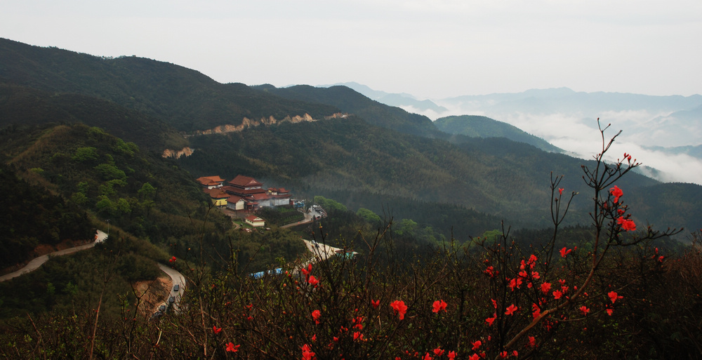 阳明山----山花烂漫时 摄影 一片红叶