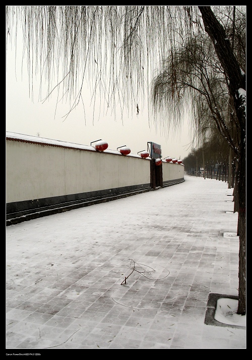 雪 摄影 曹林