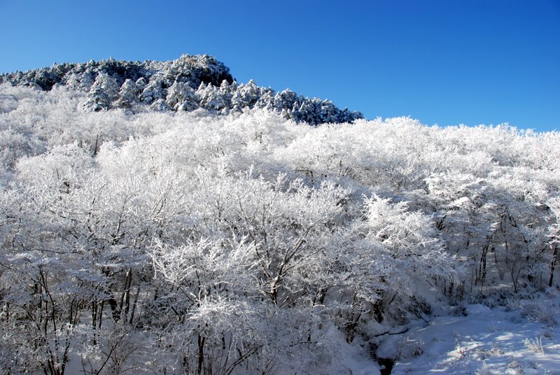 黃山雪景 摄影 难得胡涂