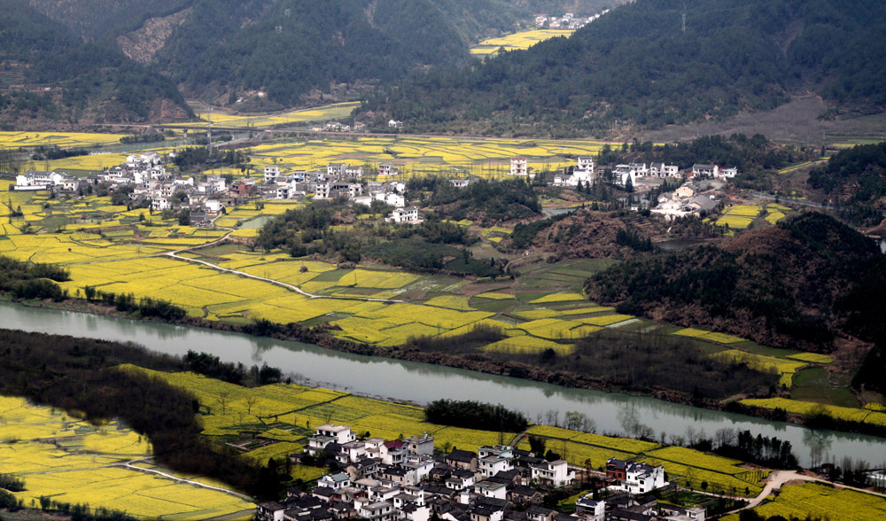 齐云山下菜花黄 摄影 柳絮7