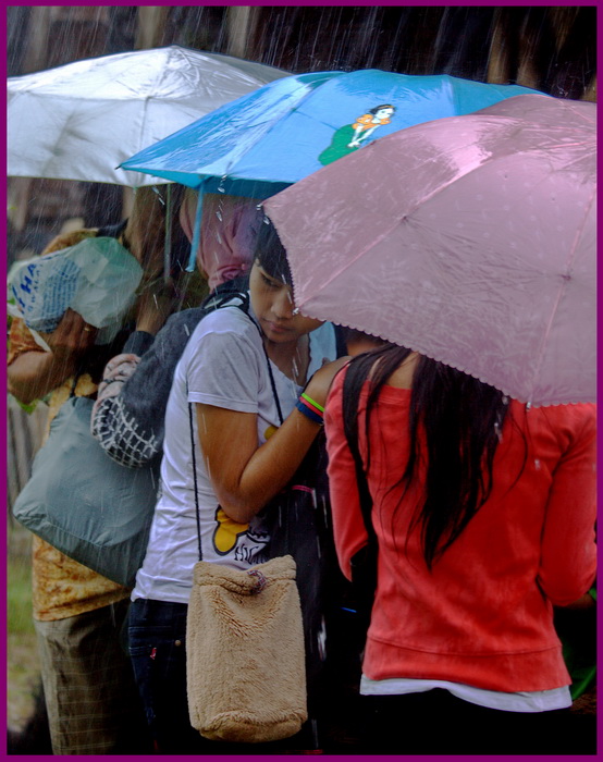 避雨 摄影 mengkudu